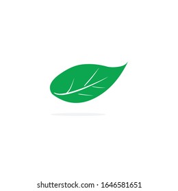 Tree Leaf Vector icon Illustration design template