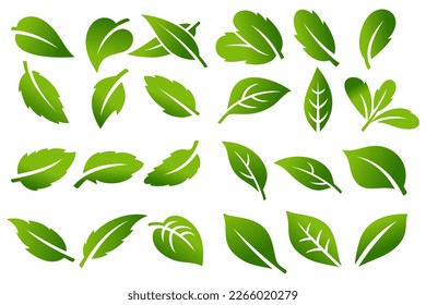 Tree leaf vector icon set logo design, eco-friendly concept