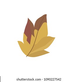 tree leaf vector illustration