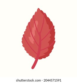 Tree leaf. Vector illustration in flat style