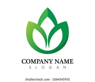 Tree leaf vector logo design, eco-friendly concept.
