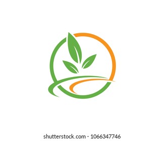 Tree leaf vector logo design, eco-friendly concept