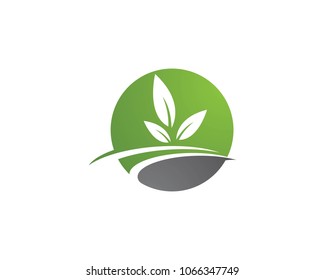 Tree leaf vector logo design, eco-friendly concept