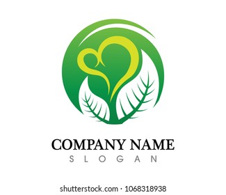 Tree leaf vector logo design, eco-friendly concept.

