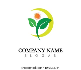 Tree leaf vector logo design, eco-friendly concept.
