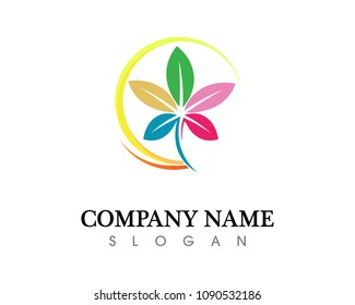 Tree leaf vector logo design, eco-friendly concept.

