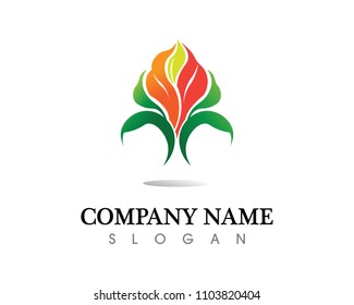 Tree leaf vector logo design, eco-friendly concept.
