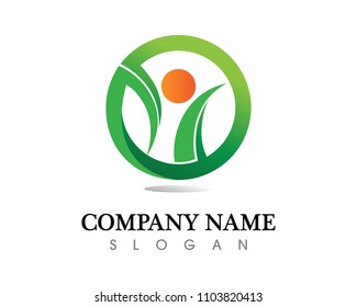 Tree leaf vector logo design, eco-friendly concept.
