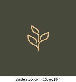 Tree leaf vector logo design, eco-friendly concept. Vector floral curve logo design. Emblem spa, herbal medicine, environment day, ecology and nature logotype. Bio, eco organic outline icon.