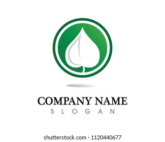 Tree leaf vector logo design, eco-friendly concept.
