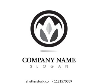 Tree leaf vector logo design, eco-friendly concept.
