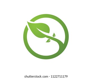 Tree leaf vector logo design symbol