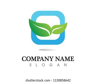 Tree leaf vector logo design, eco-friendly concept.
