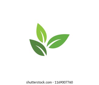 Tree leaf vector logo design, eco-friendly concept