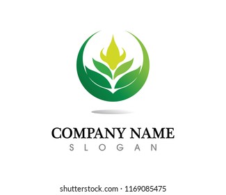 Tree leaf vector logo design, eco-friendly concept.
