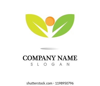 Tree leaf vector logo design, eco-friendly concept.
