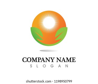 Tree leaf vector logo design, eco-friendly concept.
