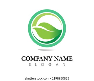 Tree leaf vector logo design, eco-friendly concept.
