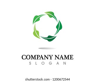 Tree leaf vector logo design, eco-friendly concept.
