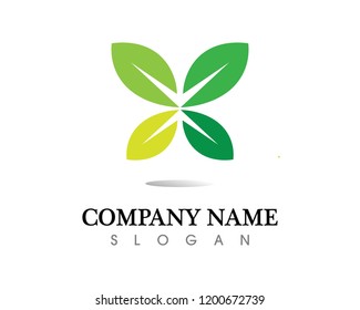 Tree leaf vector logo design, eco-friendly concept.
