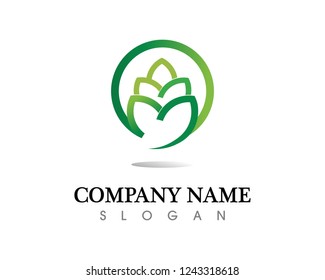 Tree leaf vector logo design, eco-friendly concept.
