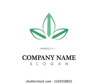 Tree leaf vector logo design, eco-friendly concept.

