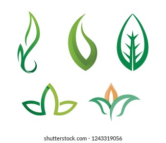 Tree leaf vector logo design, eco-friendly concept.
