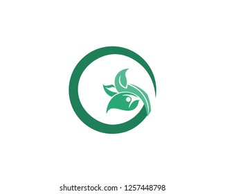 Tree leaf vector logo design, eco-friendly concept.
