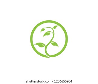 tree leaf vector logo design ecology concept