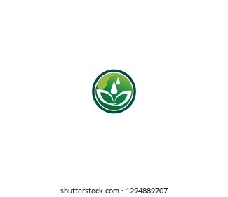 Tree leaf vector logo design, eco-friendly concept.
