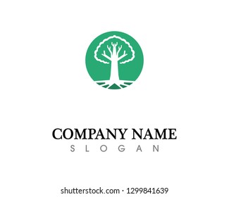 Tree leaf vector logo design, eco-friendly concept.
