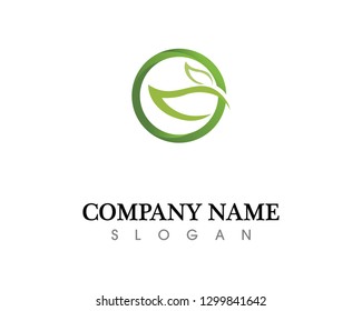 Tree leaf vector logo design, eco-friendly concept.
