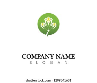 Tree leaf vector logo design, eco-friendly concept.
