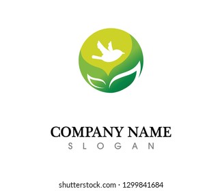 Tree leaf vector logo design, eco-friendly concept.
