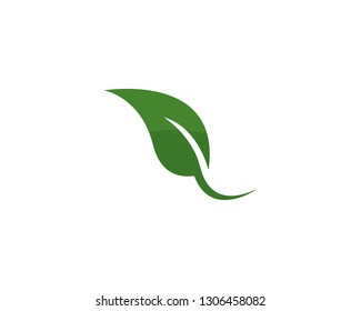 Tree leaf vector logo design, eco-friendly concept.