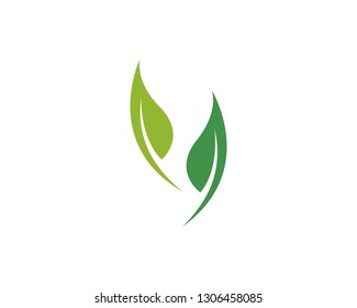 Tree leaf vector logo design, eco-friendly concept.