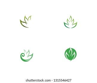 Tree leaf vector logo design, eco-friendly concept.
