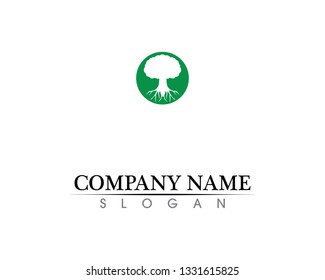 Tree leaf vector logo design, eco-friendly concept.
