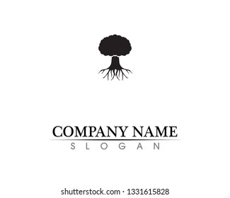 Tree leaf vector logo design, eco-friendly concept.
