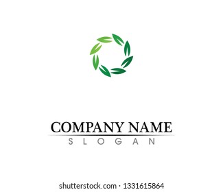Tree leaf vector logo design, eco-friendly concept.
