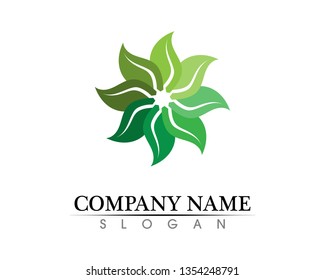 Tree leaf vector logo design, eco-friendly concept.
