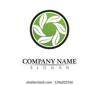 Tree leaf vector logo design, eco-friendly concept.

