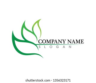 Tree leaf vector logo design, eco-friendly concept.
