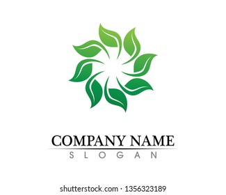 Tree leaf vector logo design, eco-friendly concept.
