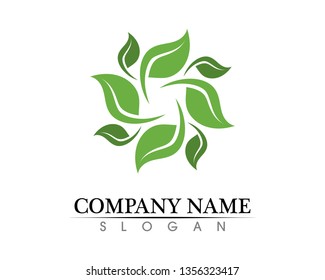 Tree leaf vector logo design, eco-friendly concept.
