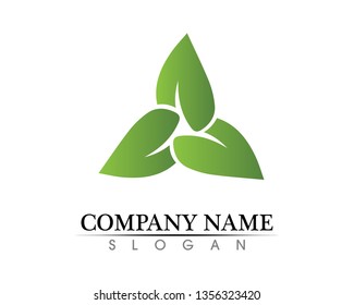 Tree leaf vector logo design, eco-friendly concept.
