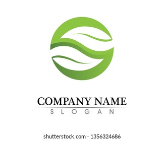 Tree leaf vector logo design, eco-friendly concept.
