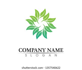 Tree leaf vector logo design, eco-friendly concept.
