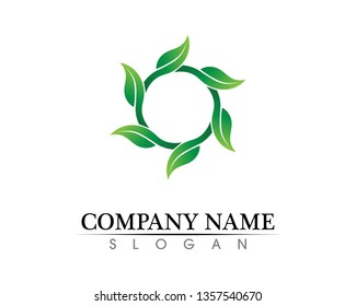 Tree leaf vector logo design, eco-friendly concept.
