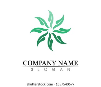 Tree leaf vector logo design, eco-friendly concept.
